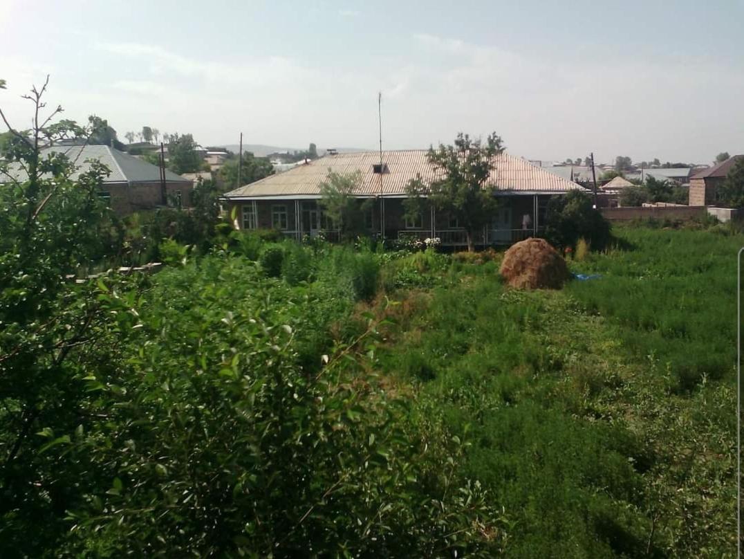 The Lichk Lodge Екстер'єр фото