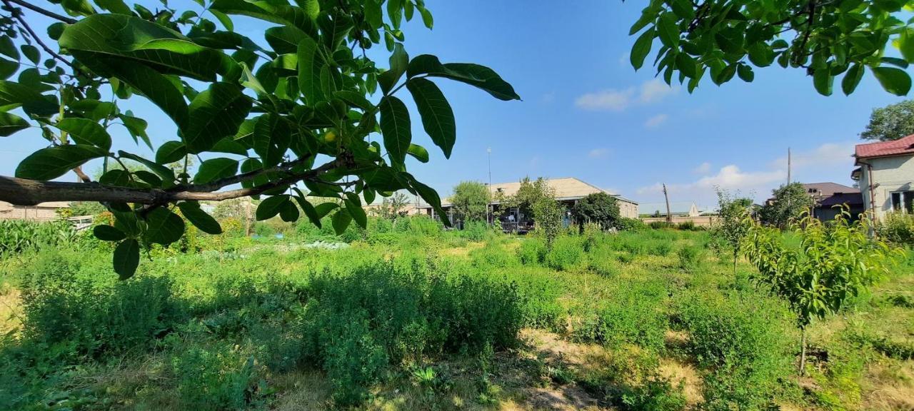 The Lichk Lodge Екстер'єр фото