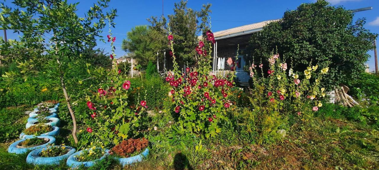 The Lichk Lodge Екстер'єр фото