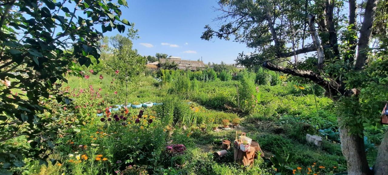 The Lichk Lodge Екстер'єр фото